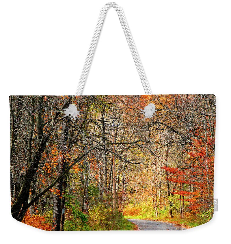 Landscape Weekender Tote Bag featuring the photograph A Walk in the Woods by Mariarosa Rockefeller