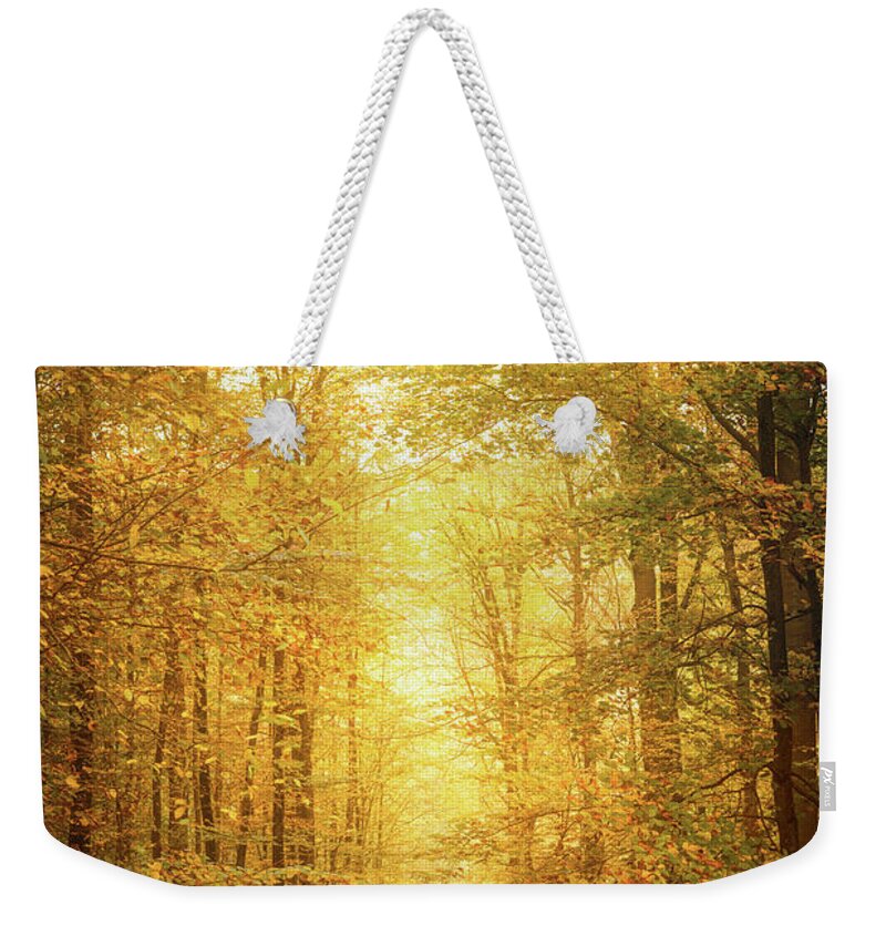 Autumn Weekender Tote Bag featuring the photograph A Walk in the Woods by Philippe Sainte-Laudy