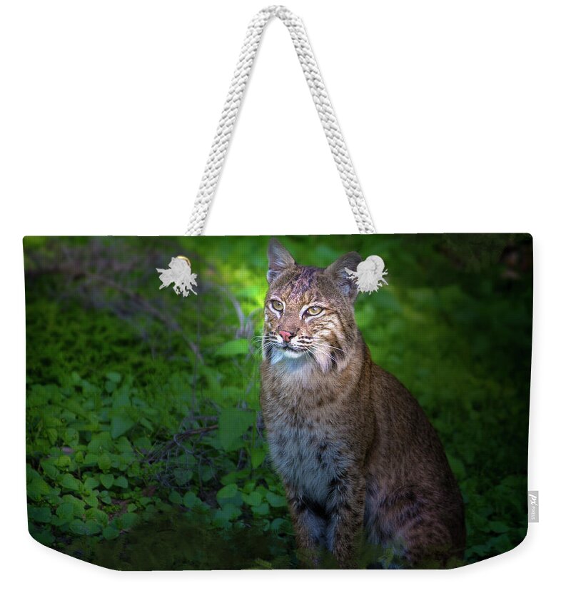 Bobcat Weekender Tote Bag featuring the photograph A Watchful Eye by Mark Andrew Thomas