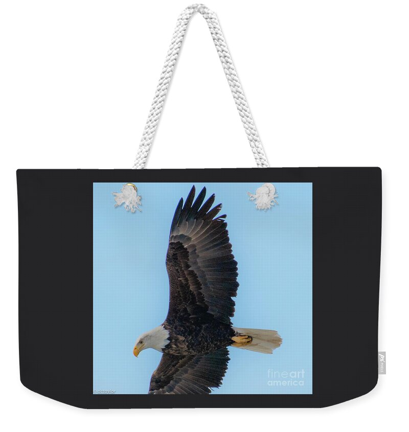Eagle Weekender Tote Bag featuring the photograph A Wing of Life and Strength by David Taylor