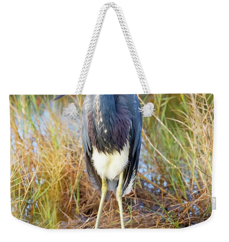 R5-2607 Weekender Tote Bag featuring the photograph A young blue heron by Gordon Elwell