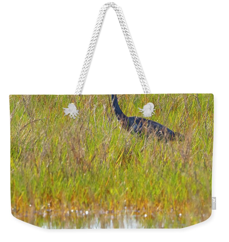 R5-2669 Weekender Tote Bag featuring the photograph A Youngster out in the Grasslands by Gordon Elwell