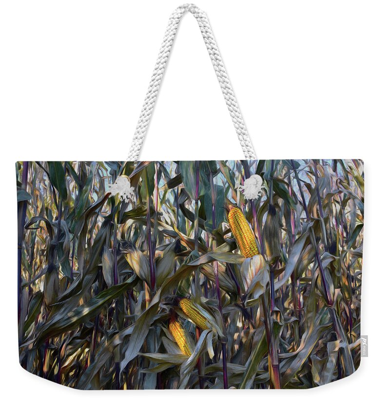 Corn Weekender Tote Bag featuring the photograph Abandoned Cornfield by Wayne King