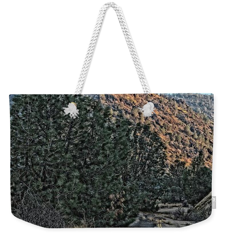 Natural Landscape Weekender Tote Bag featuring the photograph Abandoned Road by Maggy Marsh