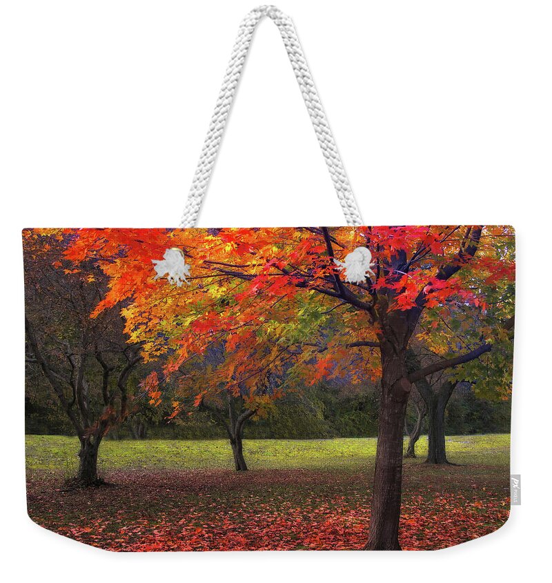 Autumn Weekender Tote Bag featuring the photograph Ablaze in Autumn by Jessica Jenney