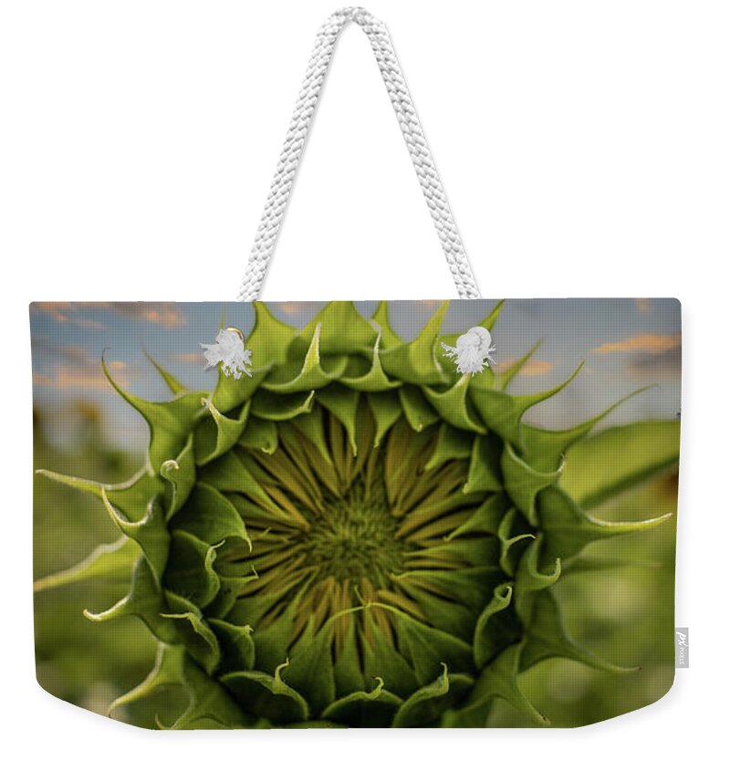 Sunflower Weekender Tote Bag featuring the photograph About To Pop Out by Rick Nelson