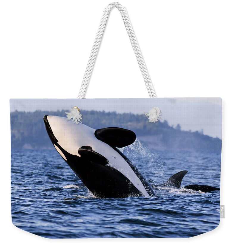 Absolutely Free Weekender Tote Bag featuring the photograph Absolutely Free - Whale Art by Jordan Blackstone