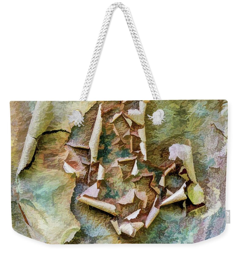 Paperbark Maple Weekender Tote Bag featuring the photograph Abstract Art In The Tree Trunk by Gary Slawsky