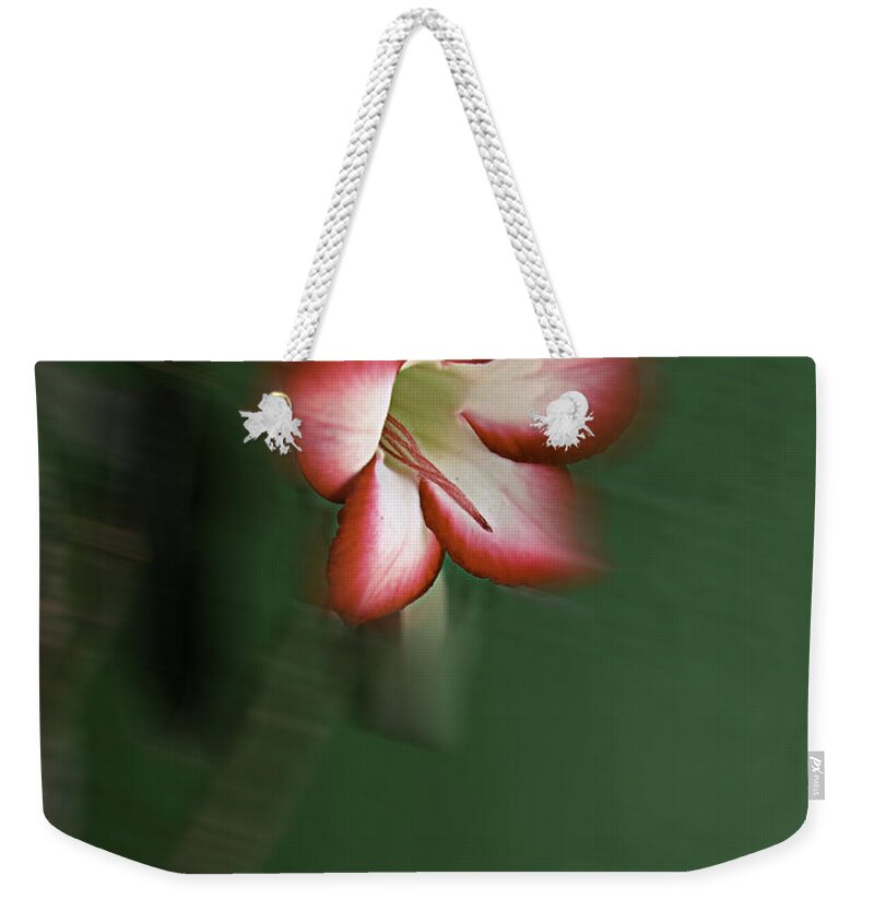  Weekender Tote Bag featuring the digital art Abstract Floral 699 by Miss Pet Sitter