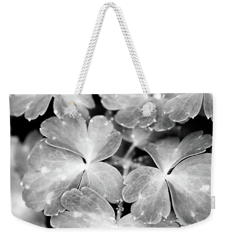 Abstract Leaves Weekender Tote Bag featuring the photograph Abstract Leaves Black and White by Christina Rollo