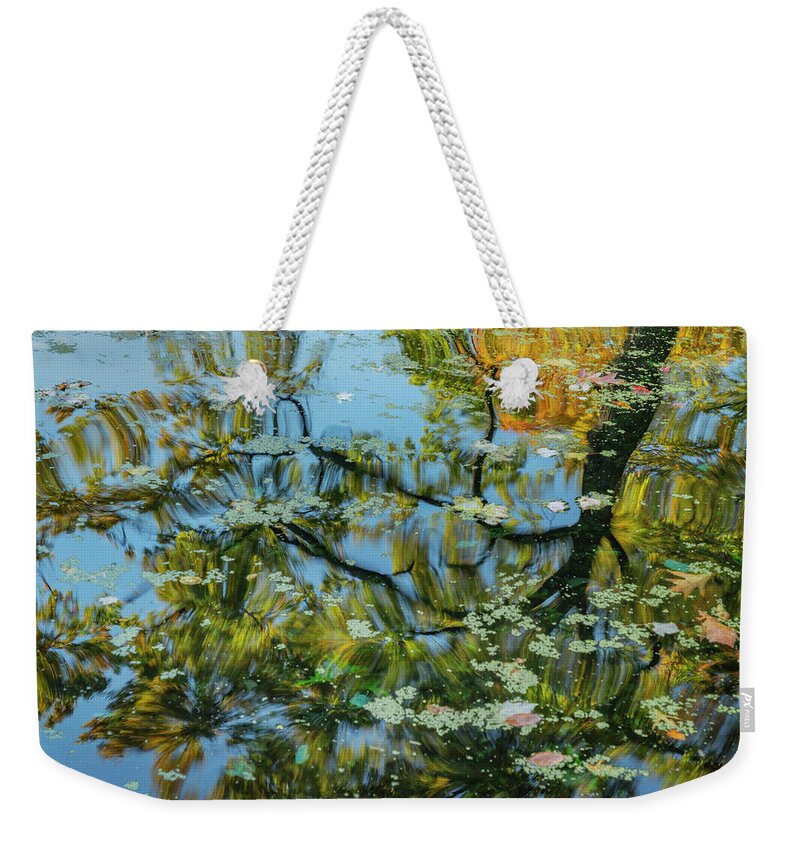 Bronx Botanical Gardens Weekender Tote Bag featuring the photograph Abstracted Reflection by Cate Franklyn