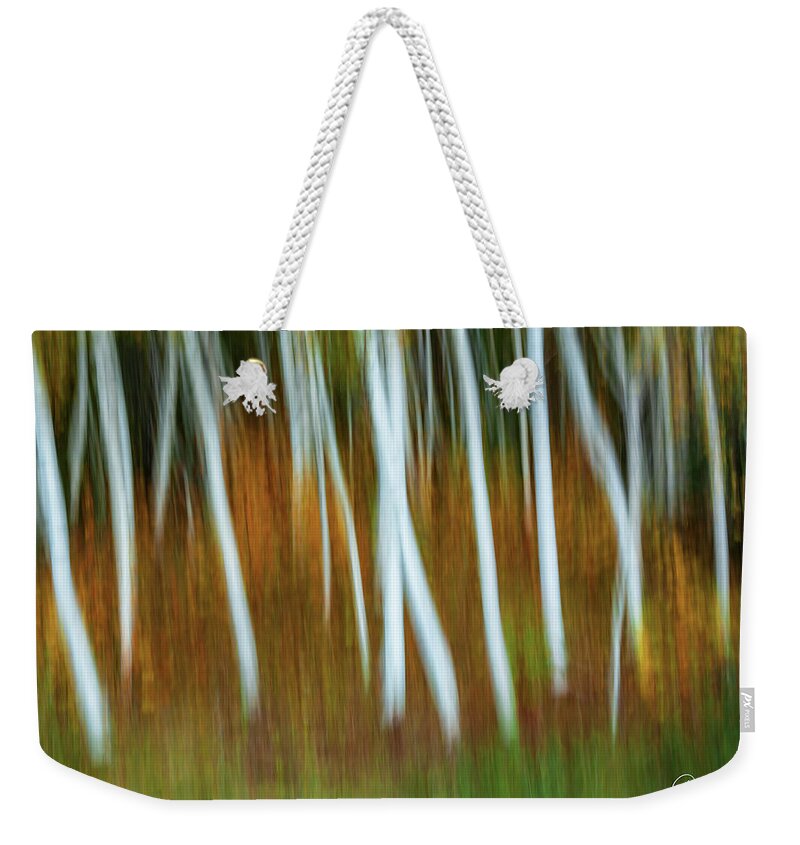  Weekender Tote Bag featuring the photograph Acadia Aspens by Gary Johnson