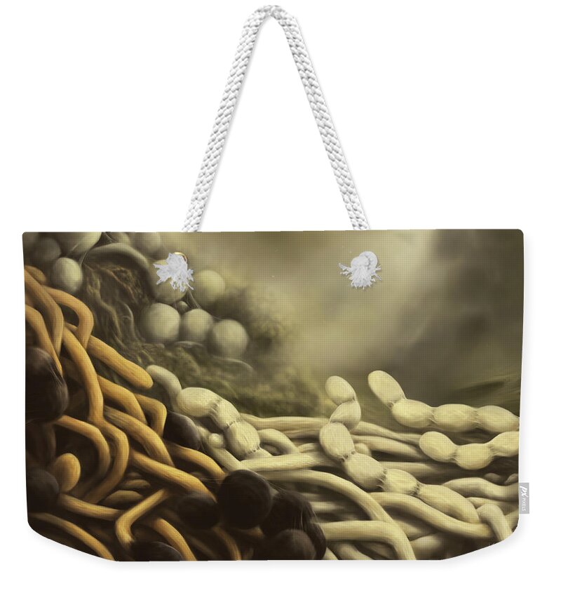 Streptomyces Weekender Tote Bag featuring the digital art Actinobacteria in compost by Katelyn Solbakk