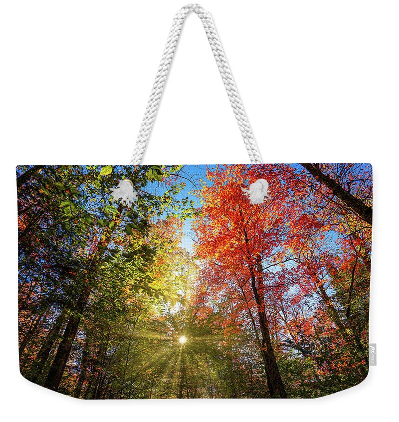 Fall Weekender Tote Bag featuring the photograph Adirondacks Autumn at Rich Lake 8 by Ron Long Ltd Photography
