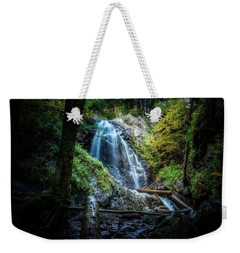 Fall Weekender Tote Bag featuring the photograph Adirondacks Autumn at Stag Brook Falls 2 by Ron Long Ltd Photography