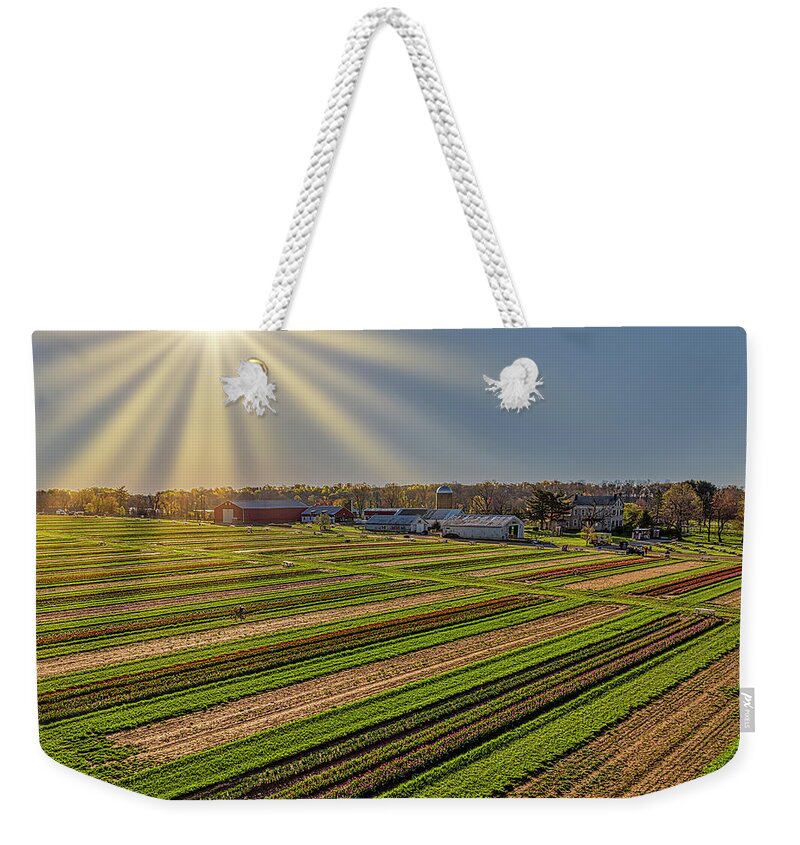 Tulip Weekender Tote Bag featuring the photograph Aerial Tulip Farm by Susan Candelario