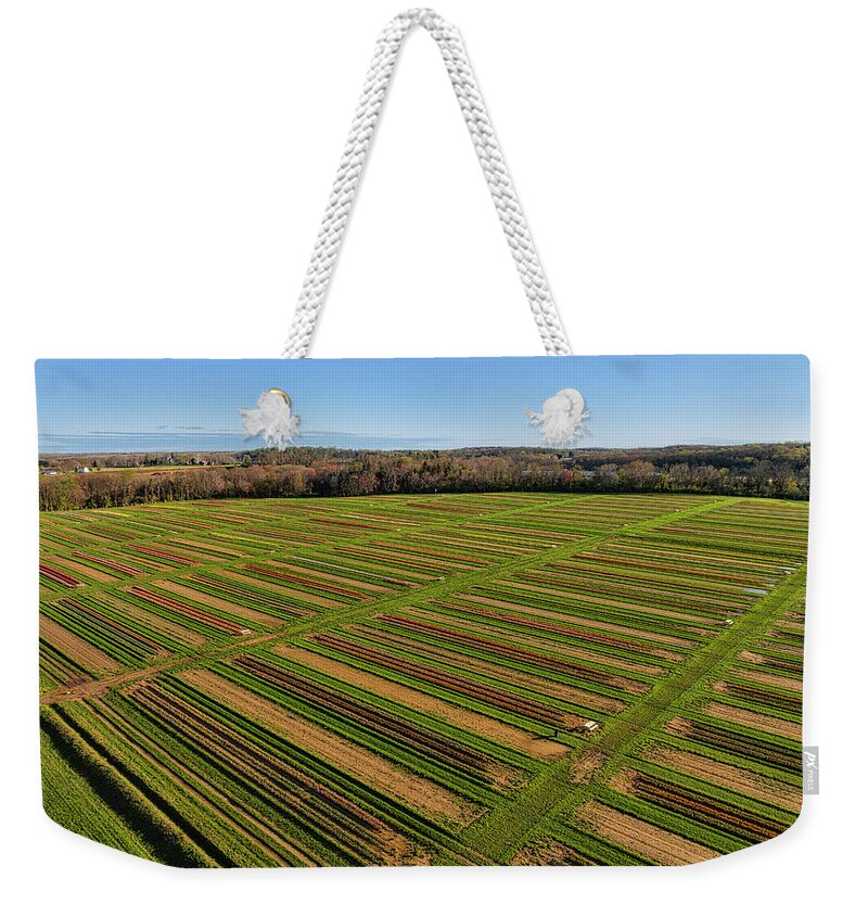 Tulip Weekender Tote Bag featuring the photograph Aerial Tulips Farm NJ by Susan Candelario