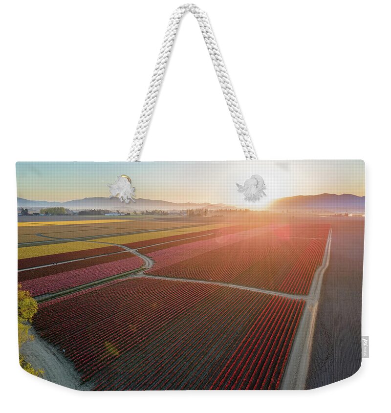 Skagit Weekender Tote Bag featuring the photograph Aerial Tulips1 by Michael Rauwolf