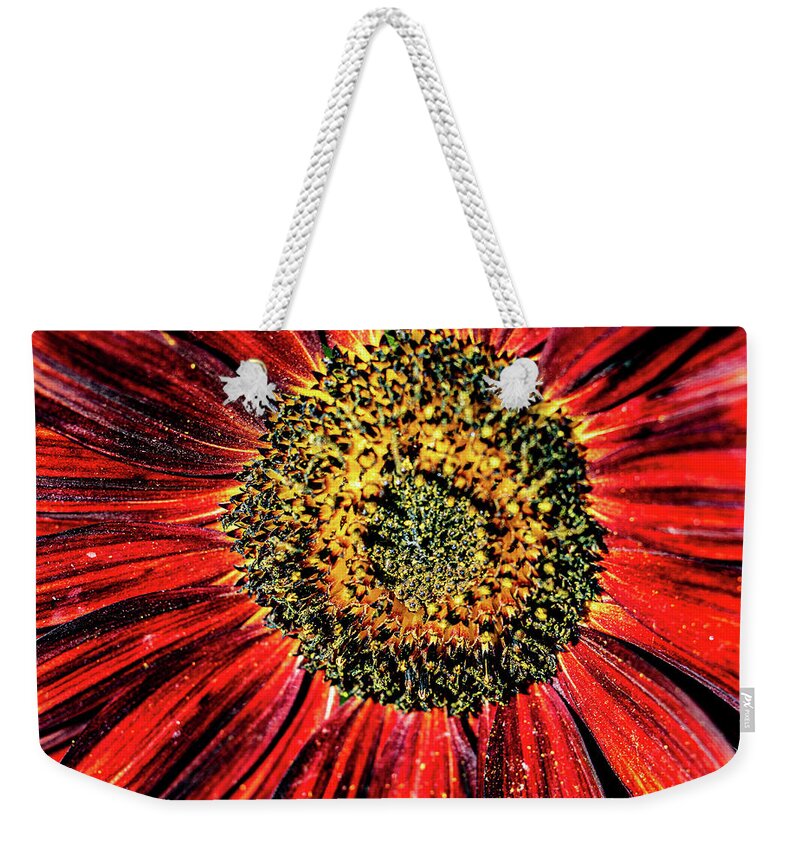 Aesthetic Sunflower Weekender Tote Bag featuring the photograph Aesthetic Sun Flower by Louis Dallara