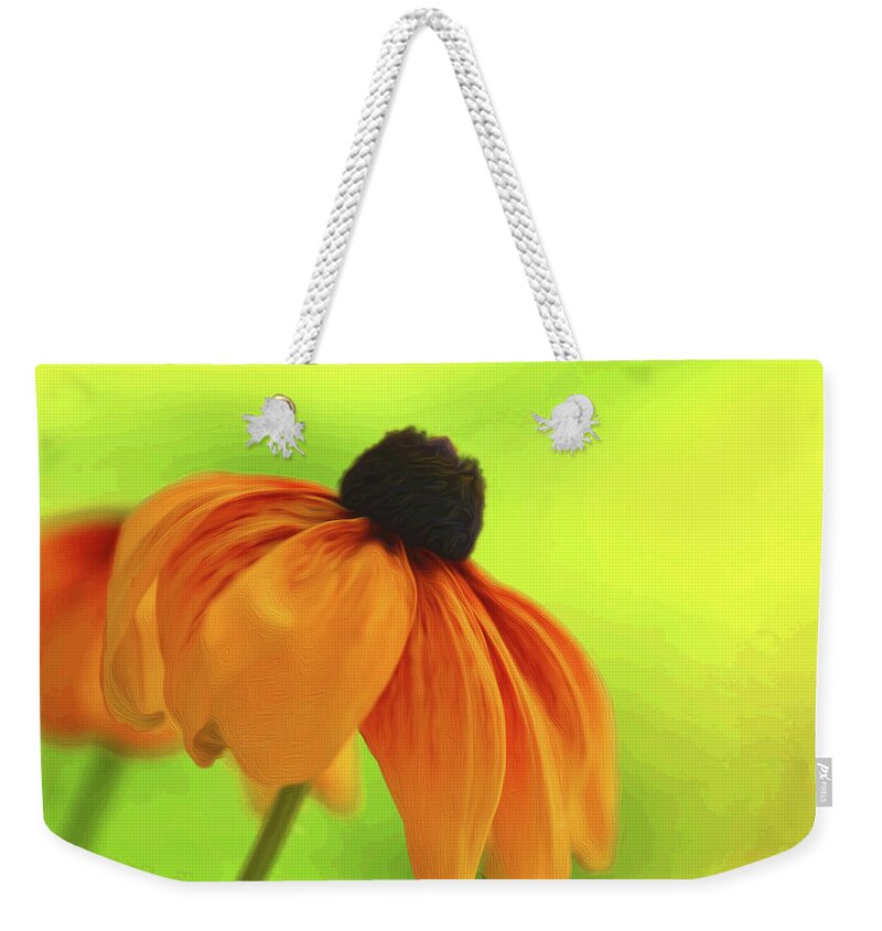 Daisy Weekender Tote Bag featuring the photograph African Daisy by Kathy Paynter