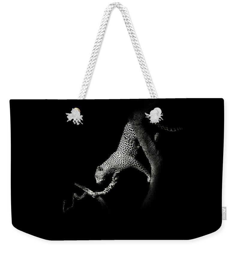 African Weekender Tote Bag featuring the photograph African Leopard, South Africa by Stu Porter
