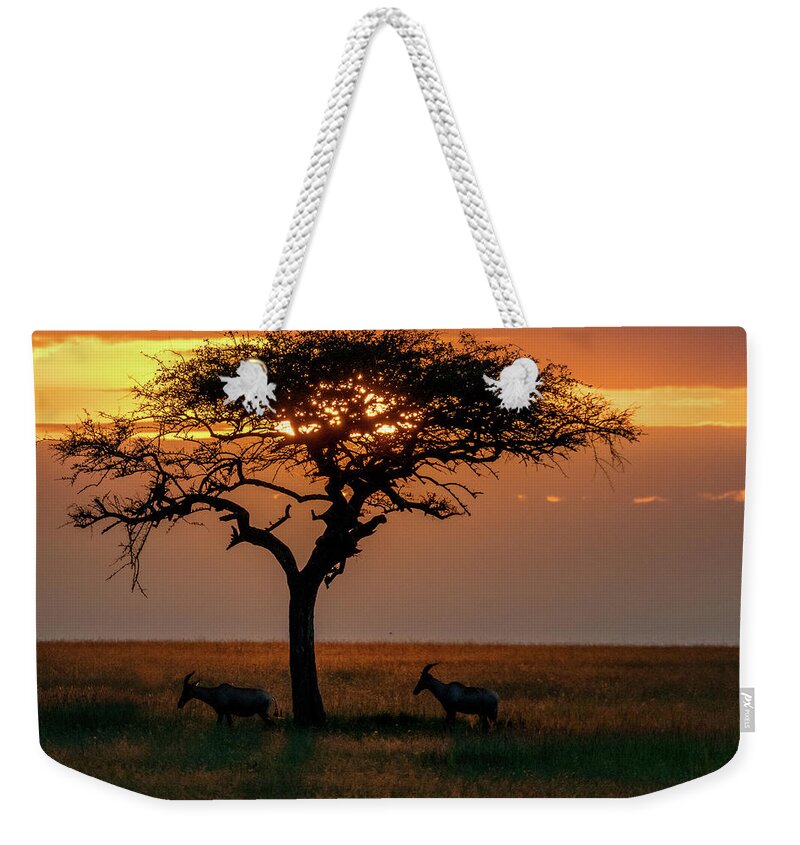 Africa Weekender Tote Bag featuring the photograph African Senegalia Tree at Sunset by Eric Albright