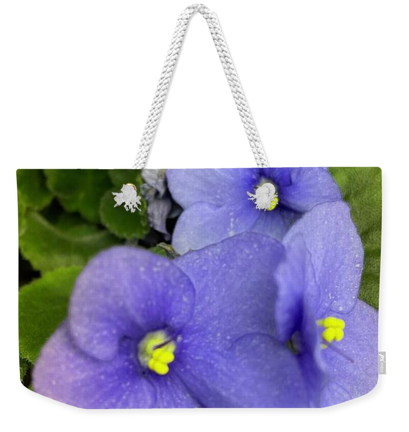 African Violet Weekender Tote Bag featuring the photograph African Violet by Albert Massimi
