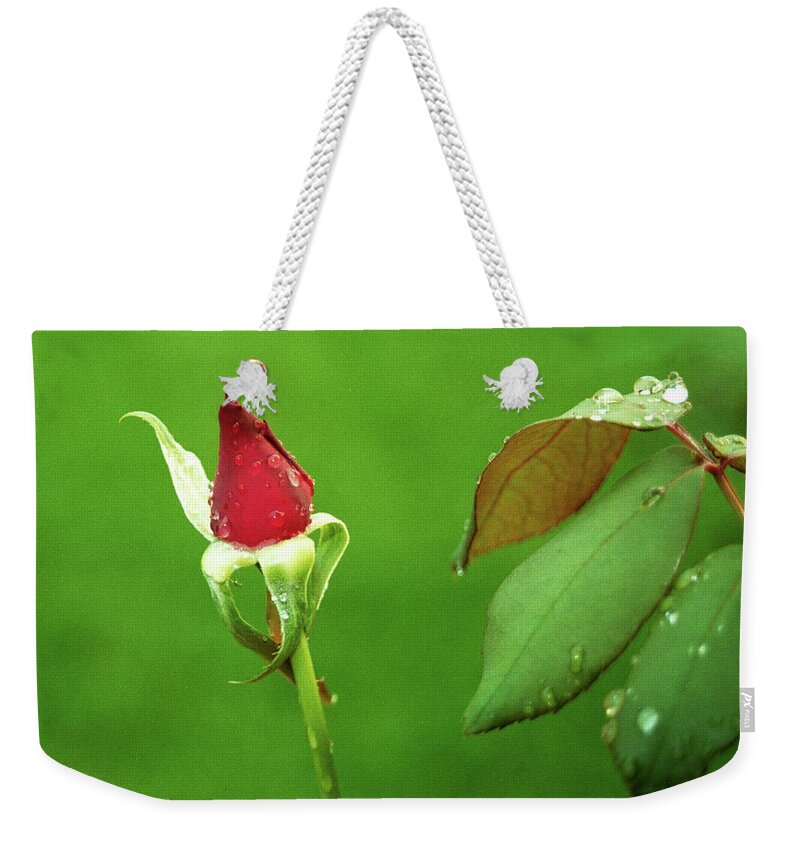 Rose Weekender Tote Bag featuring the digital art After the Storm by Brad Barton