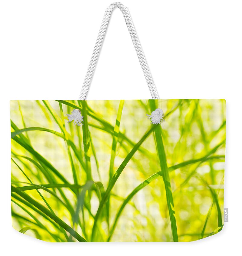 Afternoon Nap Weekender Tote Bag featuring the photograph Afternoon Nap by Derek Dean