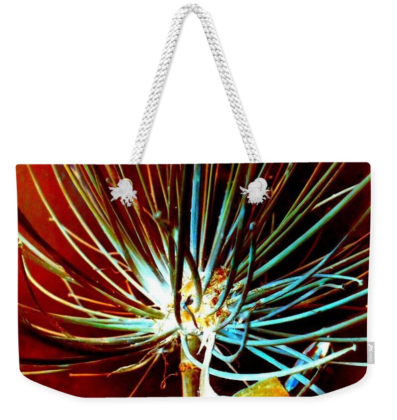 Agapanthus Weekender Tote Bag featuring the photograph Agapanthus - Unframed by VIVA Anderson