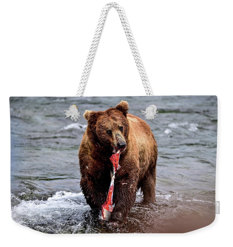 Ursus Arctos Gyas Weekender Tote Bag featuring the photograph Alaska Brown Bear - Ursus arctos gyas by Amazing Action Photo Video