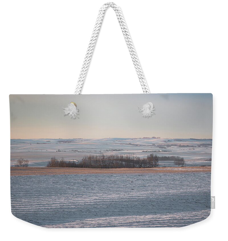 Agriculture Weekender Tote Bag featuring the photograph Alberta winter wheat farm landscape by Karen Rispin