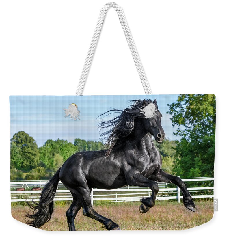 Albion Weekender Tote Bag featuring the photograph Albion the Enchanted Stallion by Lori Ann Thwing