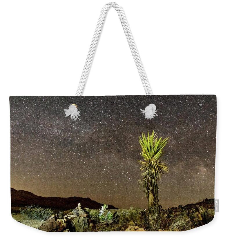 Joshua Tree Weekender Tote Bag featuring the photograph All Related by Daniel Hayes