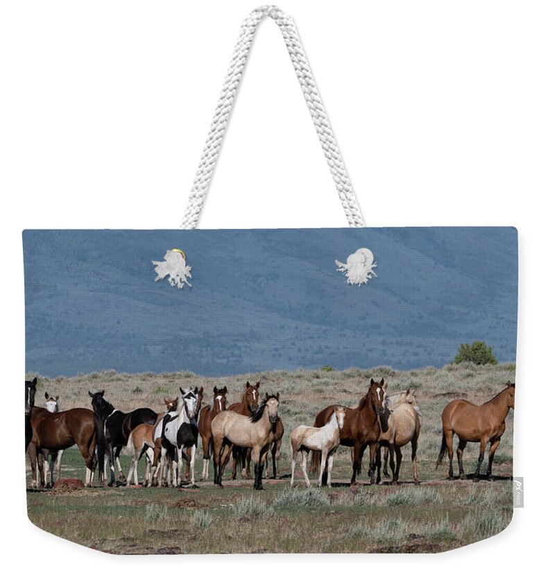 Wild Horses Weekender Tote Bag featuring the photograph All the Pretty Horses by Mary Hone
