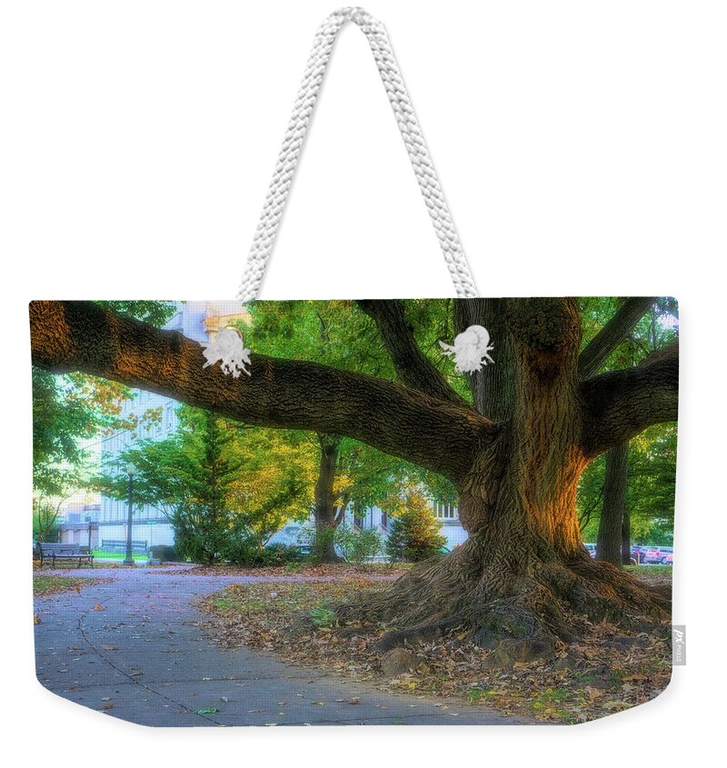West Park Weekender Tote Bag featuring the photograph Allentown West Park Path and Tree by Jason Fink