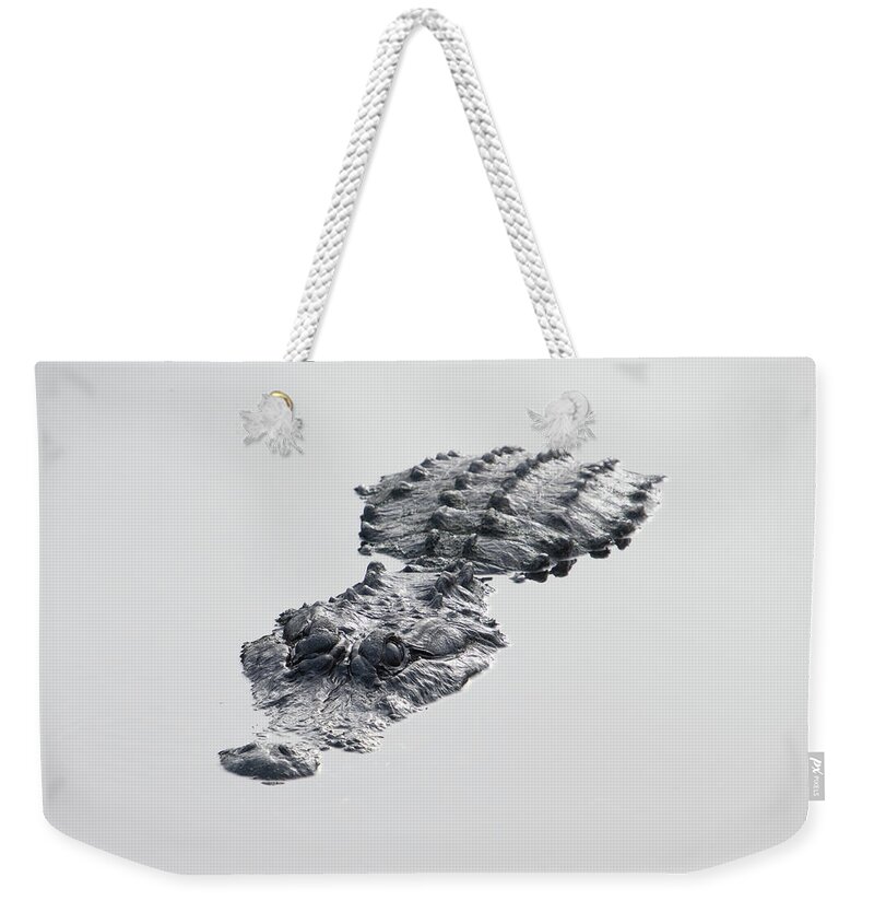 Alligator Weekender Tote Bag featuring the photograph Alligator Still Water by Carolyn Hutchins