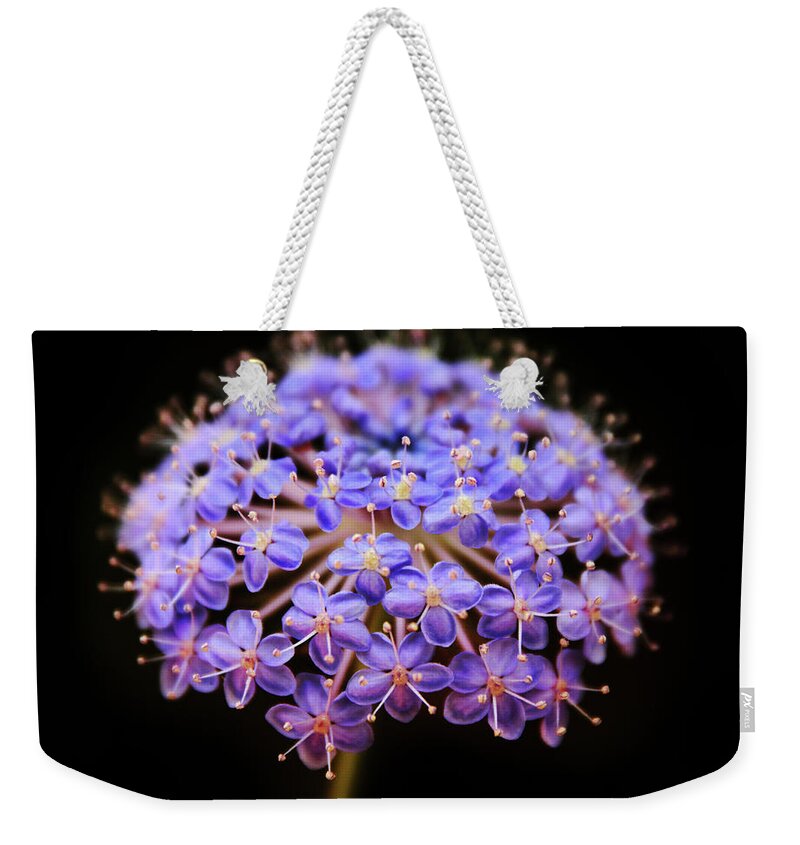Flower Weekender Tote Bag featuring the photograph Allium Floral by Jessica Jenney