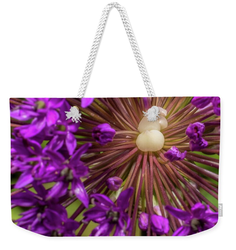 Allium Weekender Tote Bag featuring the photograph Allium hollandicum by Gemma Mae Flores Sellers