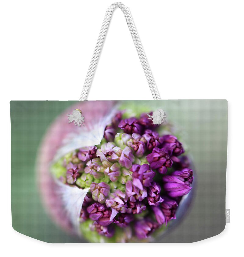 Beautiful Weekender Tote Bag featuring the photograph Allium New Beginnings by Tammy Pool