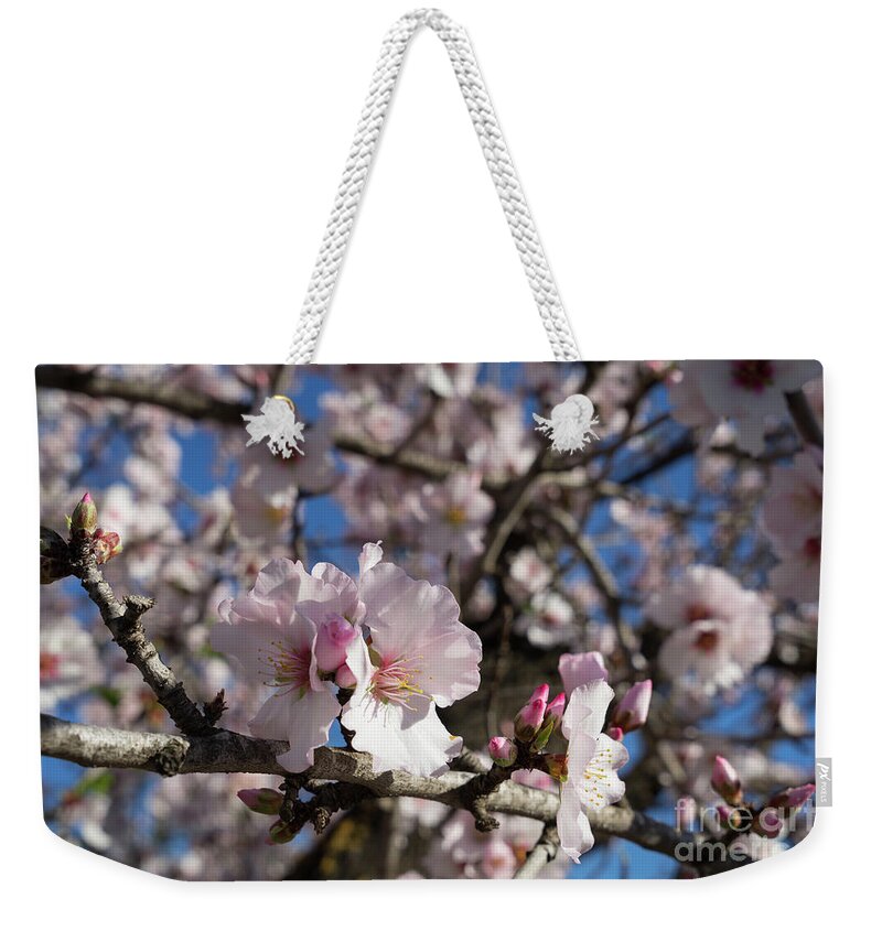 Spring Weekender Tote Bag featuring the photograph Almond Blossom 4 by Adriana Mueller