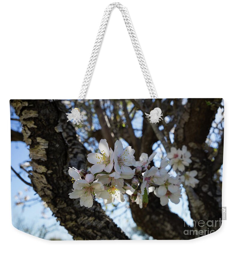 Almond Blossom Weekender Tote Bag featuring the photograph White flowers in the penumbra of the almond tree by Adriana Mueller