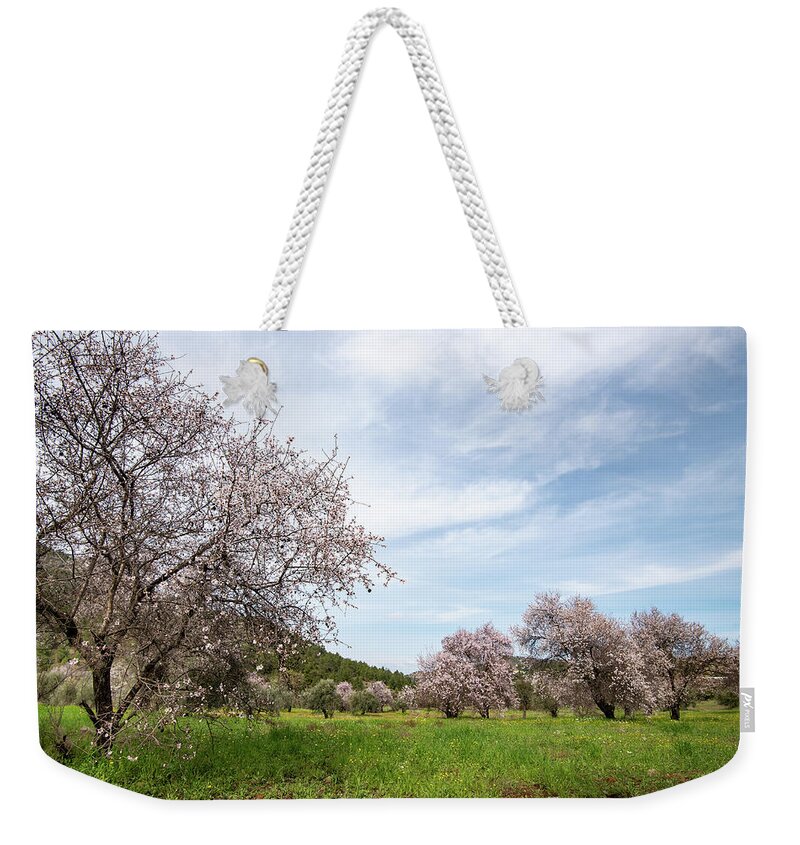 Spring Weekender Tote Bag featuring the photograph Almond trees bloom in spring against blue sky. by Michalakis Ppalis