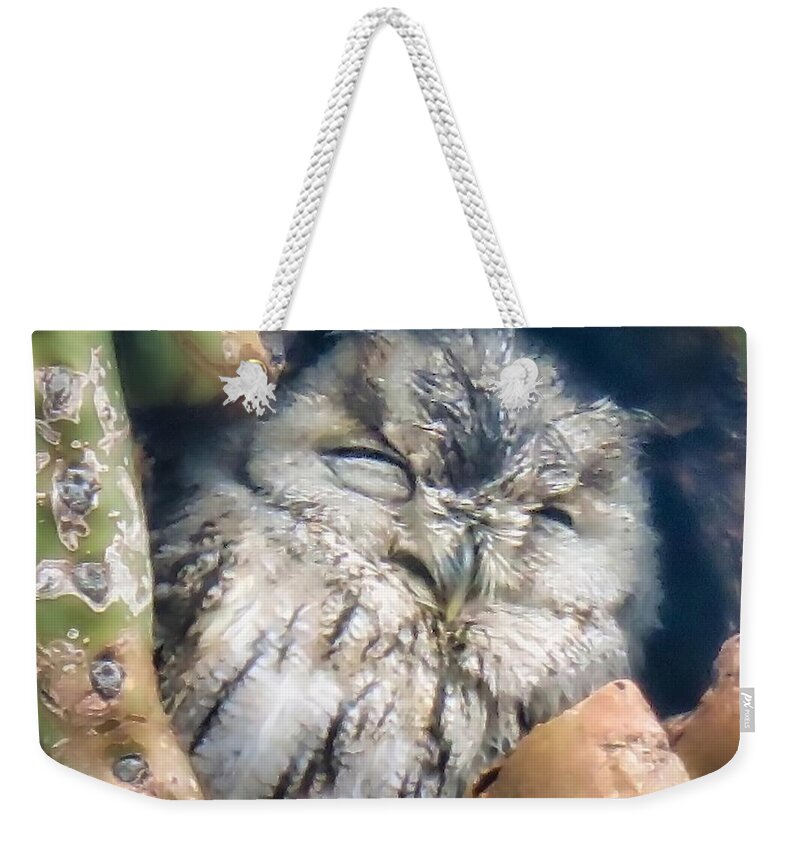 Icon Weekender Tote Bag featuring the photograph Almost Asleep by Judy Kennedy