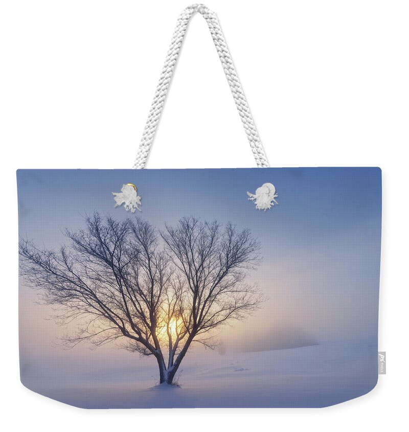 Tree Weekender Tote Bag featuring the photograph Alone in the Snow by Dan Jurak