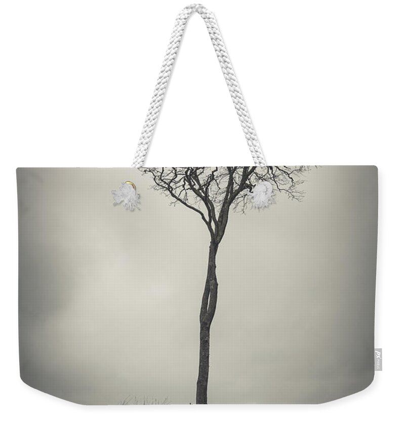 Tree Weekender Tote Bag featuring the photograph Alone in the Wind by Philippe Sainte-Laudy