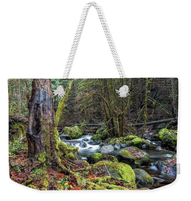 French Pete Creek Weekender Tote Bag featuring the photograph Alongside the French Pete Creek by Belinda Greb