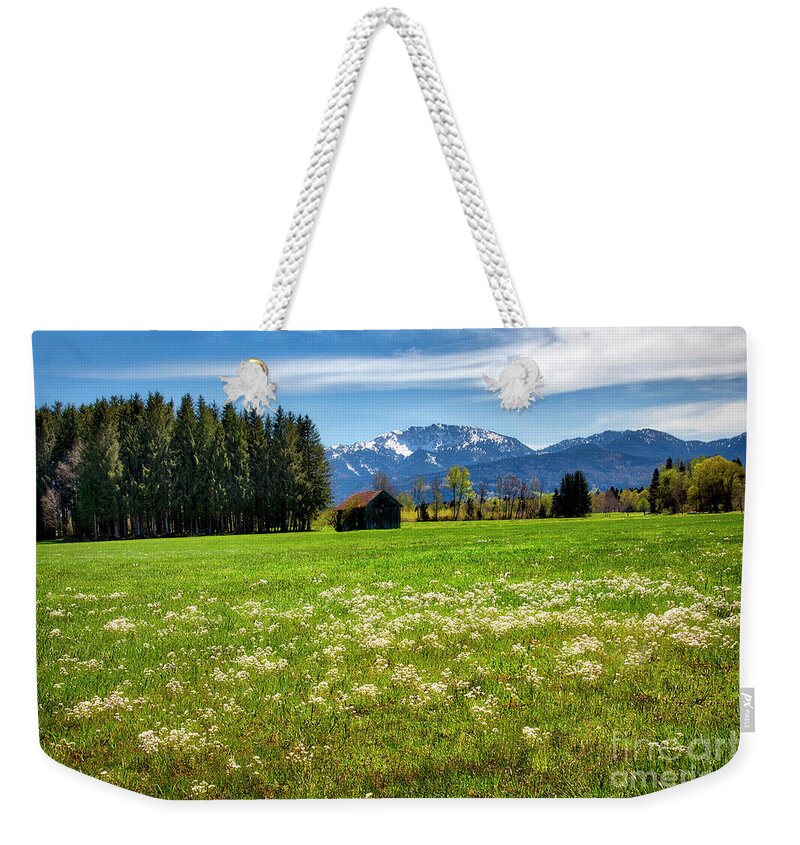 Nag006124 Weekender Tote Bag featuring the photograph Alpine Meadow by Edmund Nagele FRPS