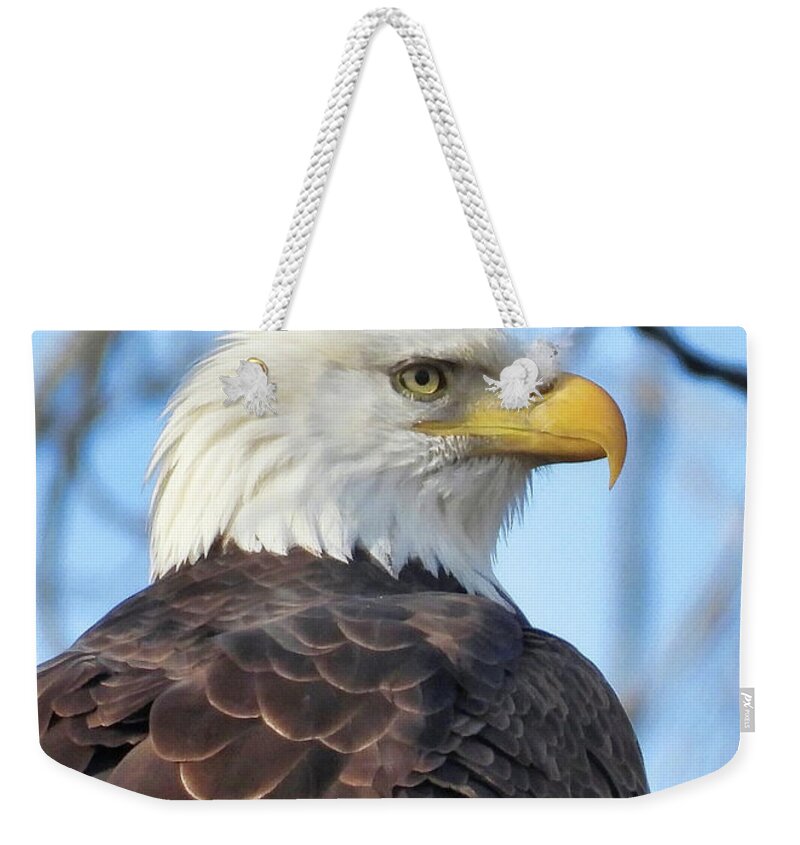 American Bald Eagle Weekender Tote Bag featuring the photograph Always Alert by Jack Wilson