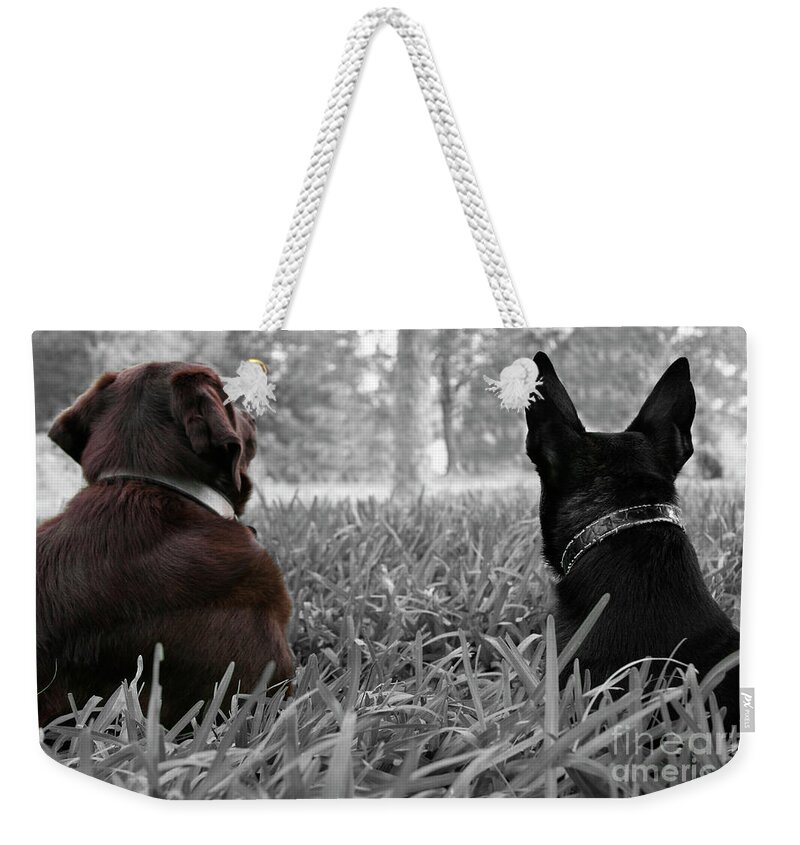 Dogs Weekender Tote Bag featuring the photograph Always waiting for you by Renee Spade Photography